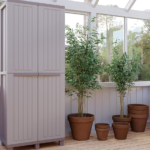 Screen Shot 2025-03-05 at 19.48.43